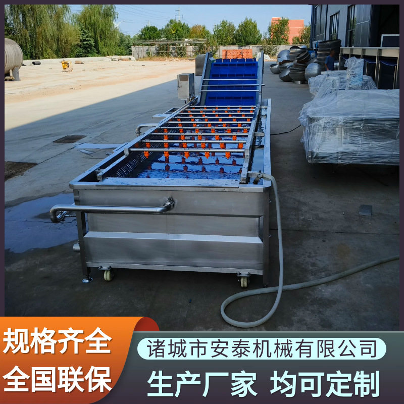 荠菜去泥沙气泡清洗机速冻果蔬全自动洗菜机青毛豆清洗速冻设备