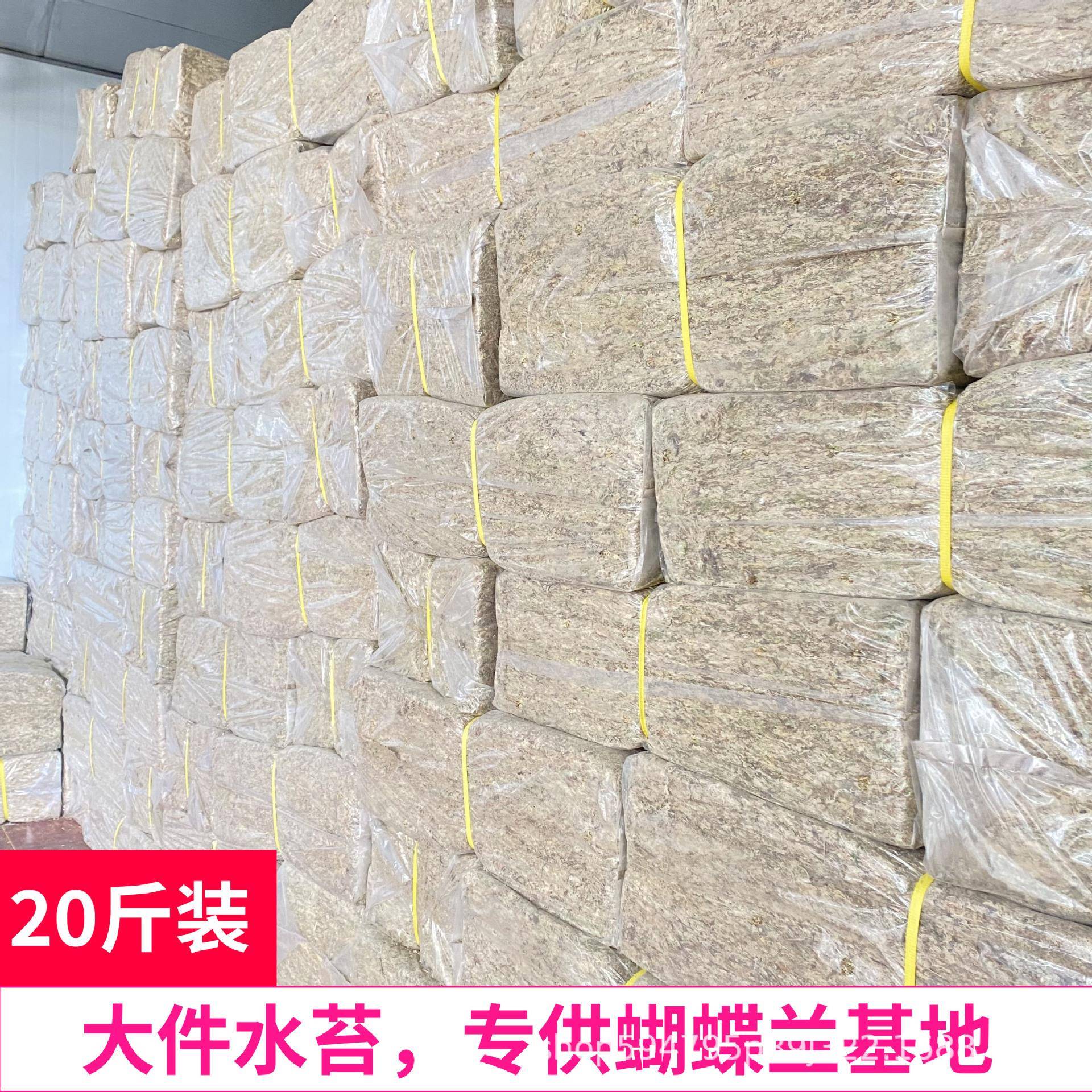 水苔干20斤装贵州蝴蝶兰专用绿植苔藓爬宠垫材铺面保湿有机