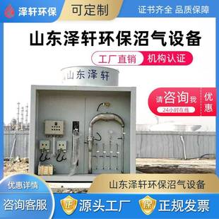 山东泽轩直销全封闭式自动沼气火炬化工厂撬装式沼气火炬