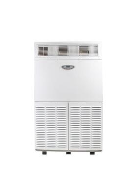 川岛除湿机DH-8336C抽湿量：336L/D适用面积：300-350m2