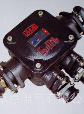 供应矿用隔爆型BAL2(DLB2)声光组合电铃矿用语音声光警报器