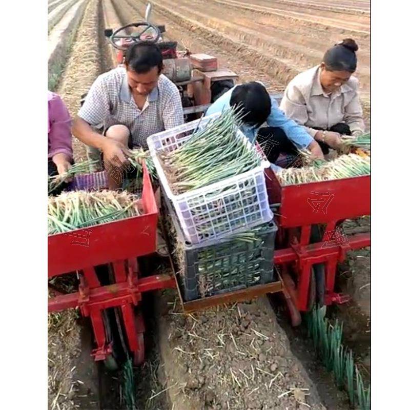 山西运城葱苗栽葱机大葱种植机座驾式双行插葱机东北大葱机