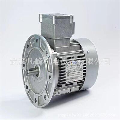 优势供应意大利原装进口RAEL防爆电机t3RL0041等全系列