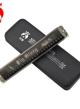 飞煌F2401复音口琴成人儿童男女24孔C调初学演奏乐器