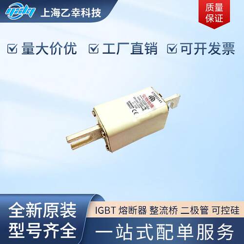 巴斯曼熔断器 170M3368 170M3369 170M3370 170M3371 170M3388