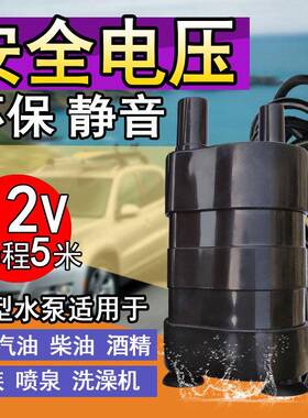 微型直流无刷水泵抽柴潜油水V泵底吸泵舱潜底泵122IFY4V