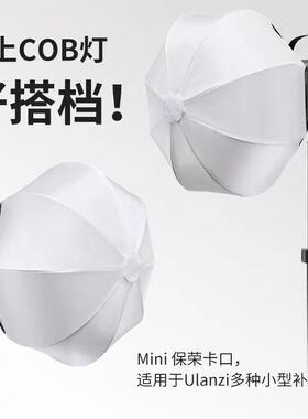 30mMini保荣口柔光球补光灯直播迷你保荣球形子优篮c永可用快装柔