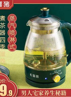 黑白茶茶器多功能全自茶大容量煮61887茶壶保动煮温蒸汽烧水壶