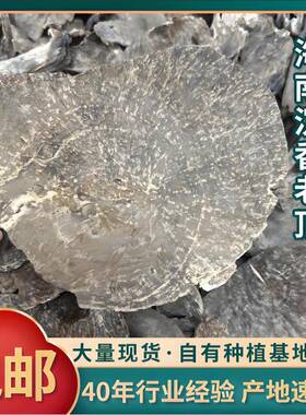 天然沉香木料海南原料铁顶家用熏香无添加结香老铁面老料天然香料