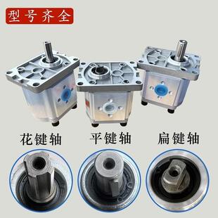 液压齿轮泵油泵总成CBN-F304/306/310/314/316/320/325小高压泵头