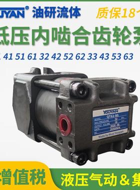 QT31/43-20/25内啮合31.5齿轮泵41/52/53-40/50/50住友型51/63-80