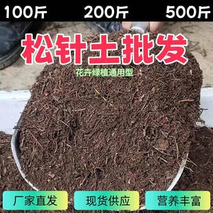 大量松针土营养土纯松针花土专用兰花盆栽种菜基质园艺种