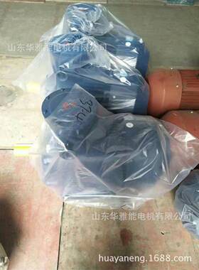 制动YE4EJ-225M-2-45KW电机制动Y2EJ电机双出线口双填料函配置