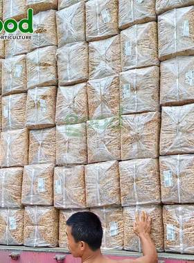 sangro桑格罗智利水苔水草热带植物生态缸蝴蝶兰基质格美特七星草