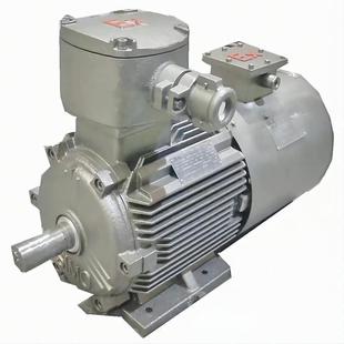 鸿泰隔爆型节能电机YBX3 8t11KW380Vt额定频率50HZ 180L