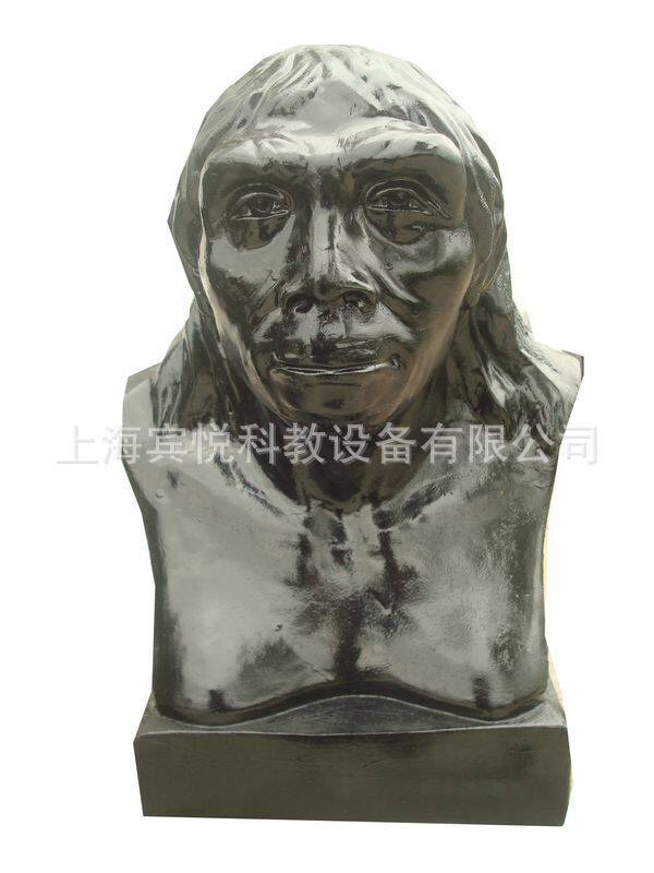 (北京人)历史模型(历史头像)(历史教室)投标专用