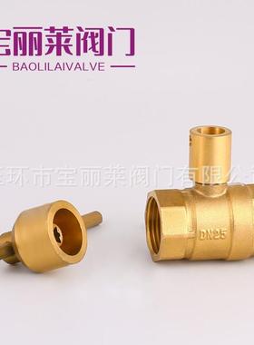 热力专LNP用阀装黄铜锁置闭前阀表暖气磁性球阀内暖气热力防盗阀