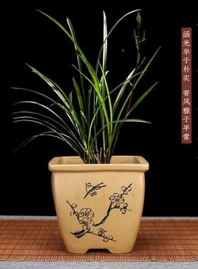 精品紫花盆小号文兰花多肉盆砂园艺客厅摆RLT件创景意陶瓷竹盆栽