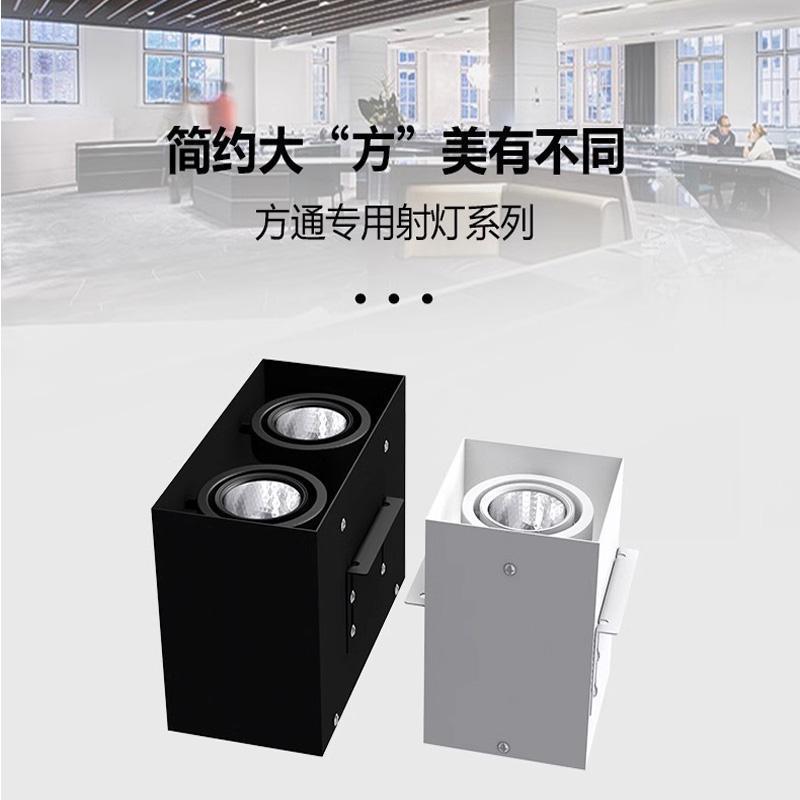 客厅灯具明暗通用餐厅格栅灯斗胆灯装店用洗车场无商铺天花灯主铁