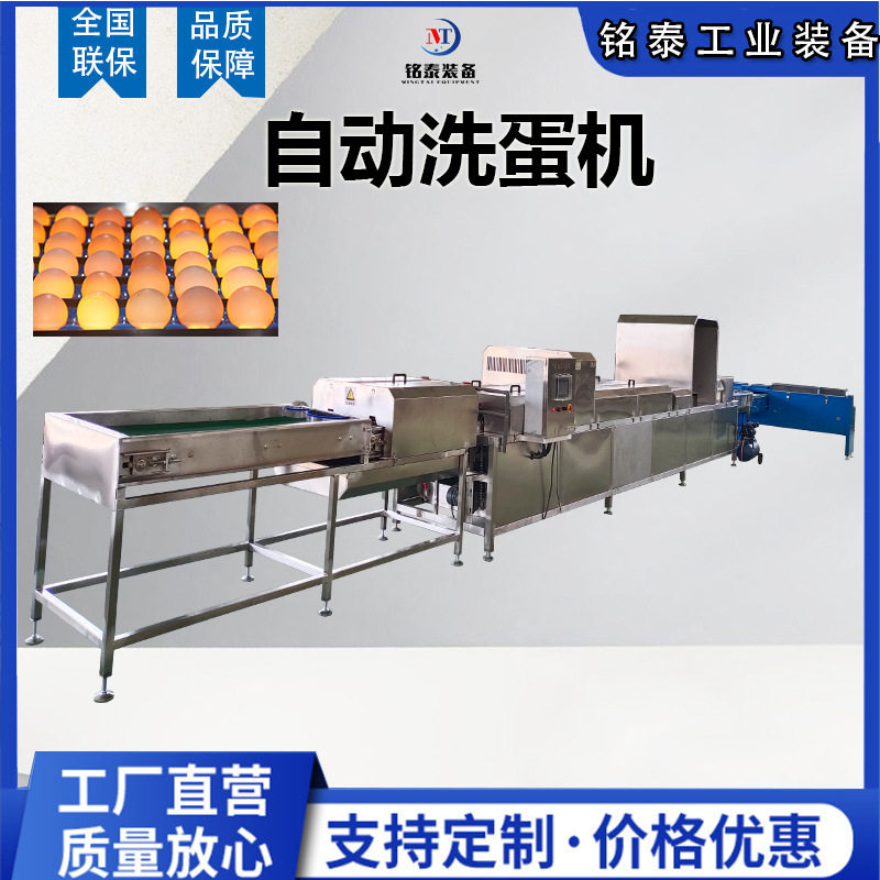 泥蛋洗蛋机设备厂家山鸡蛋清洗机风干光捡杀菌喷码流水线鸭蛋机