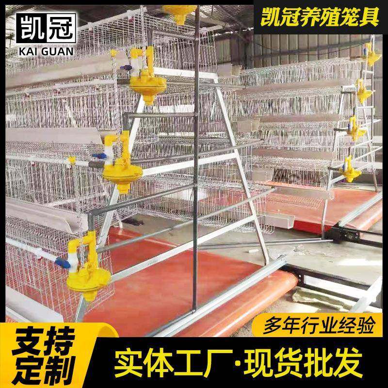 双边阶梯式蛋鸡笼冷镀锌铁丝网鸡舍笼子三层四层阶梯立式养鸡笼子,纺织面料/辅料/配套,纺织机械配件,淘宝优惠券,粉丝福利购,淘宝优惠卷