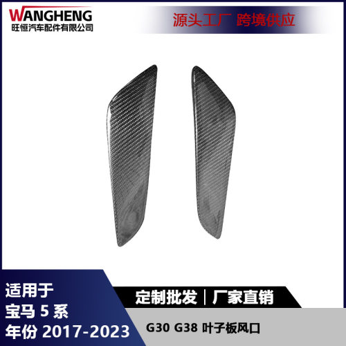 适用于宝马5系G30G38碳纤维叶子板风口改装侧扰流板风刀装饰配件