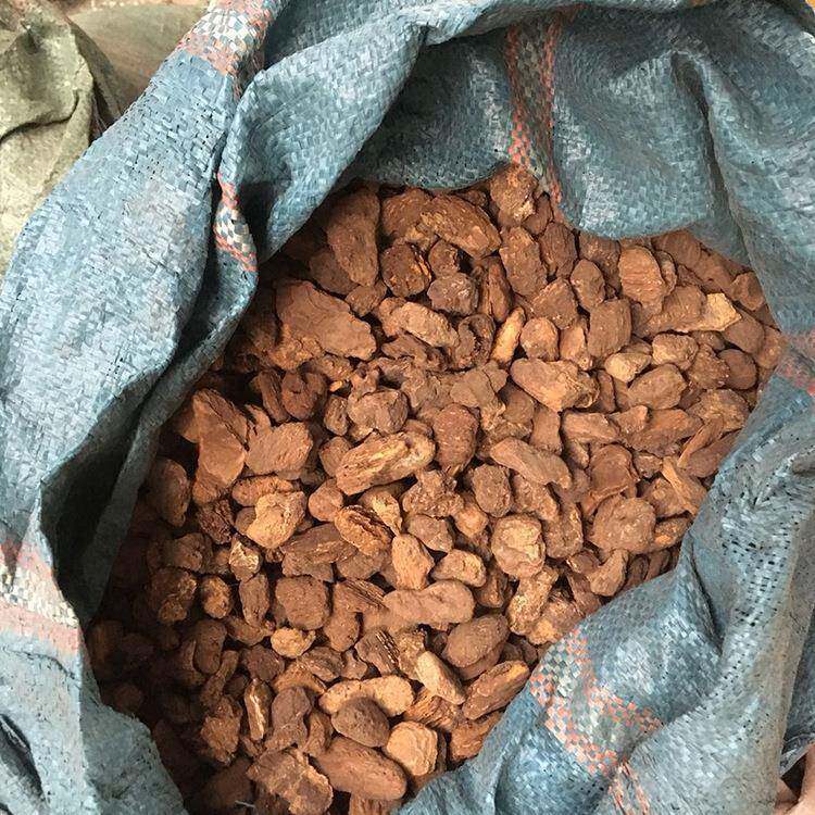 青冈树皮兰草兰科兰花植料大中小颗粒育苗栽培基质