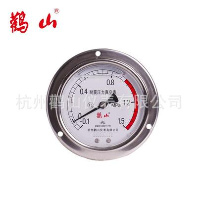 YN100BFZT真空-0.1-0系列全不锈钢304