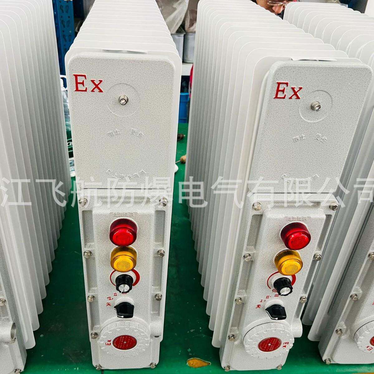 BDN58系列防爆电热油汀2000W电油汀电暖气