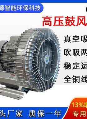 小型涡轮式鼓风机RB-21D-2漩涡气泵气体防爆高压风机吸风