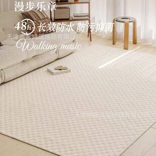 法式奶油风客厅地毯防水防污可擦洗休闲沙发毯高端轻奢衣帽间地垫