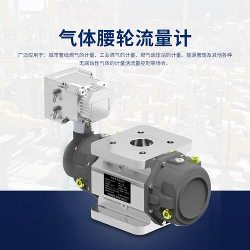 DN25小口径罗茨不锈钢空气流量计天津凯隆气体腰轮流量计1.6MPA