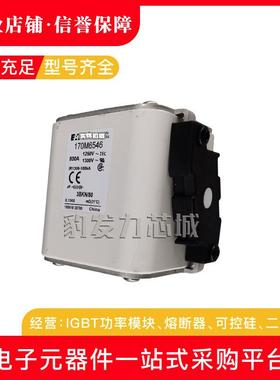 170M6646170M6647170M6648170M6649170M6650170M6651熔断器