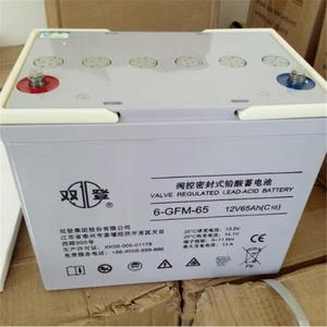 双登铅酸蓄电池12V65ah胶体蓄电池6-GFM-65太阳能路灯蓄电池