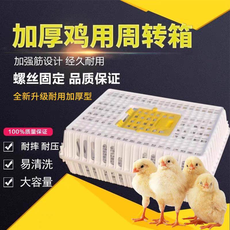 鸡笼子供应鸡鸭鹅运输笼周转箱活禽运输现货供应,节庆用品/礼品,新娘配件,淘宝优惠券,粉丝福利购,淘宝优惠卷