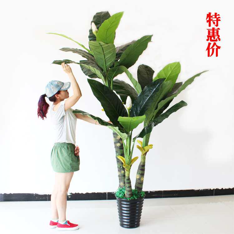 厂家直供大型仿真三杆芭蕉树绿巨人植物酒店大厅装饰绿植盆栽