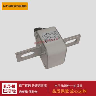 熔断器170M6768 170M6769 170M6770 170M6771 170M3531 170M3532