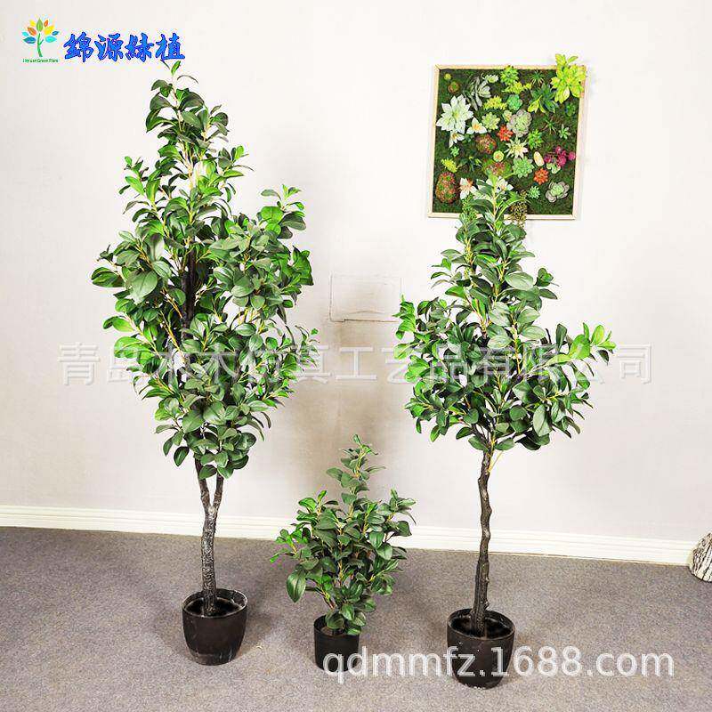【】仿真豆瓣树室内落地家居装饰豆瓣叶植物盆景手感胶叶假树