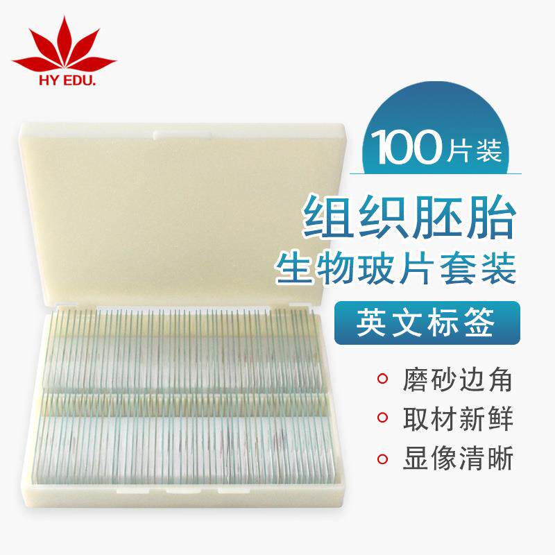 红叶教仪出口品质英文标签显微镜玻片100片组织胚胎生物切片套装