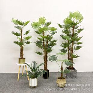 仿真绿植盆栽仿真多杆扇葵细杆蒲葵室内装饰棕扇葵落地假绿植摆件