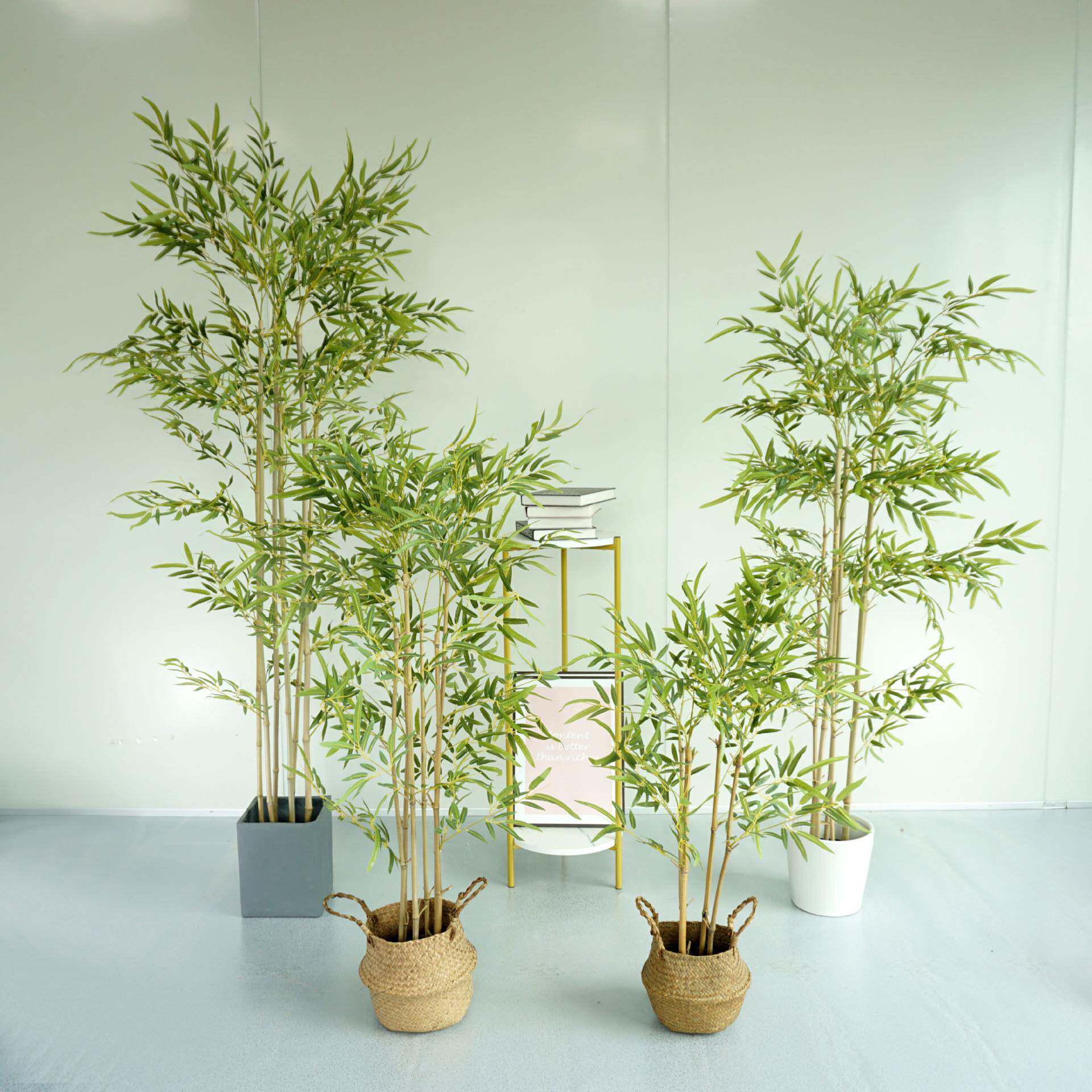仿真竹子假竹子细水竹毛竹室内装饰绿植盆景盆栽造景植物手感竹叶