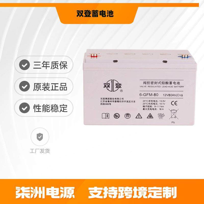 双登蓄电池6-GM-100光伏发电112v100AH2v10H0A铅酸免维护蓄电F池