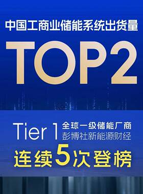 工业储能0柜5mwh太阳能光电伏储能站系箱定制意向统2尺bess储能集