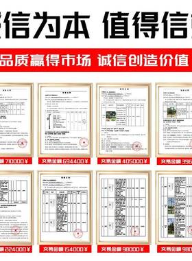 中式庭院景灯3米小路灯新款广场院观子园林21513现货景观灯区厂家