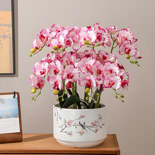 陶瓷花蝴蝶兰鸟笼淡蓝盆君子兰盆萝盆栽种植盆大绿口色径881花鸟