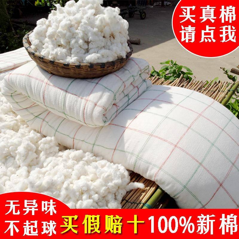5ZW全棉被芯冬被10斤加厚保暖手工棉花被纯棉胎双人床铺垫絮棉絮