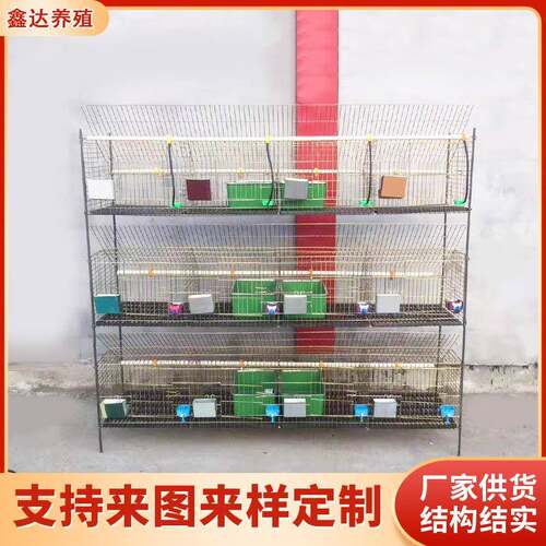 现货供应兔笼瓷砖免清粪立式兔笼农业畜牧业用免清粪立式兔笼