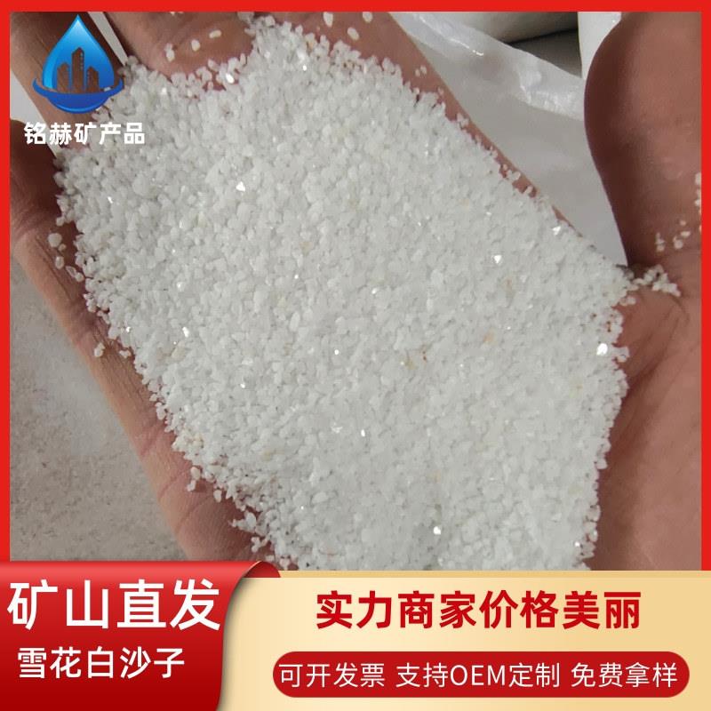 白沙子雪花白园林工程日式枯山水造景装饰草坪填充用白色石英砂