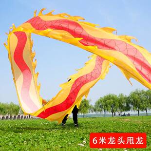 广场健身甩龙舞龙彩带甩彩龙彩条龙头甩龙游龙龙舞龙头节目