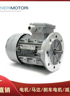 意大利NERIMOTORI电机马达T56BT63AT71AT80AT90ST100LT112A